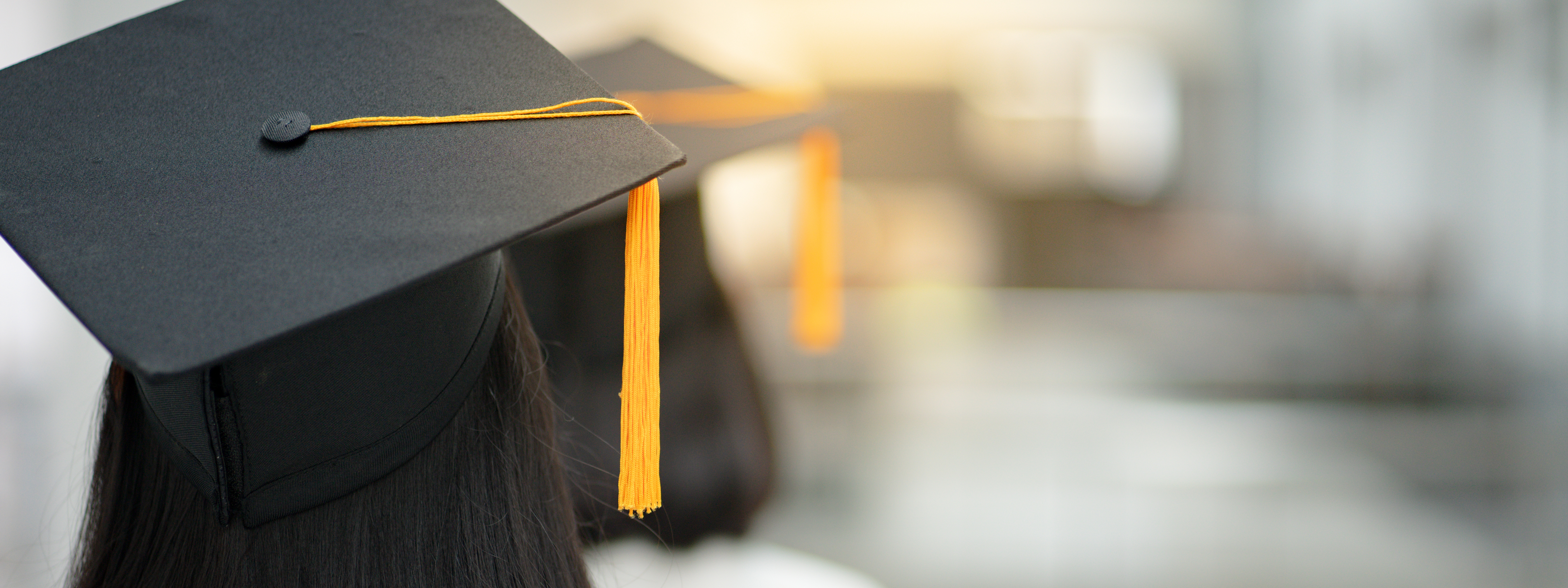 Bursaries Internships and learnerships banner